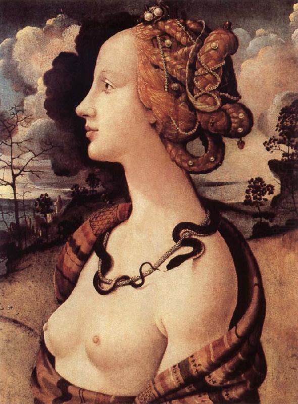 Piero di Cosimo Portrat of Simonetta Vespucci china oil painting image